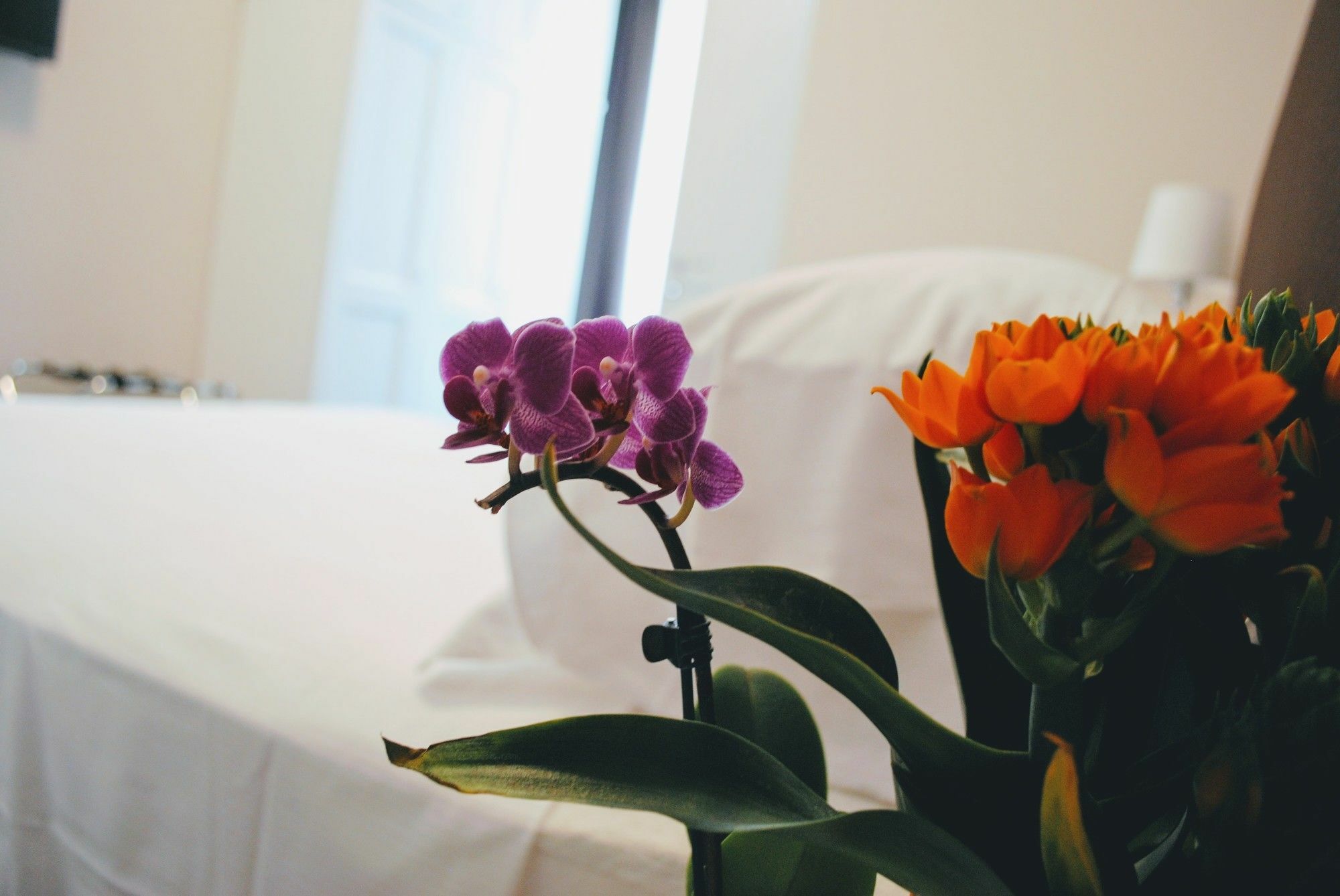 Guest House Cavour 278 Рим Екстериор снимка